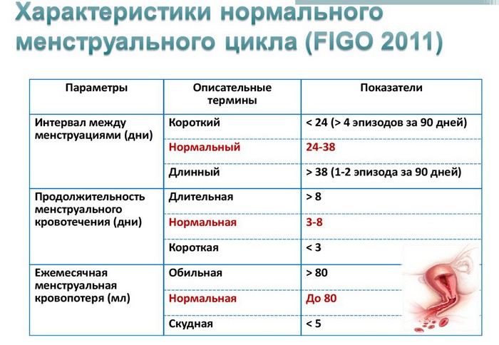 Задержка месячных